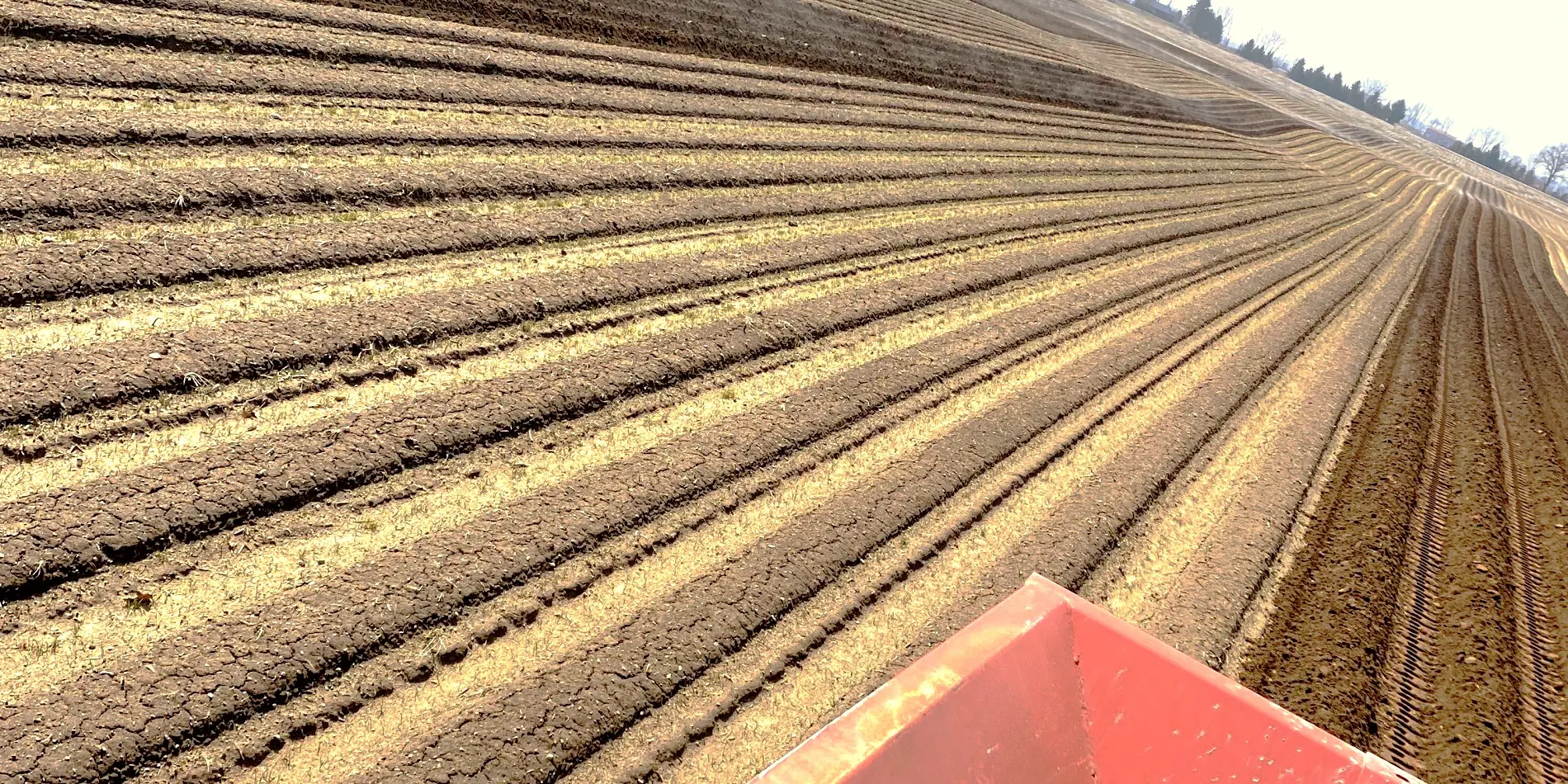Freshly planted potato rows at Fair Valley Produce