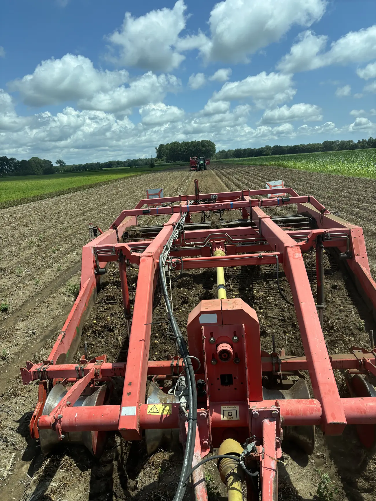 The red harvester working a row of creamers