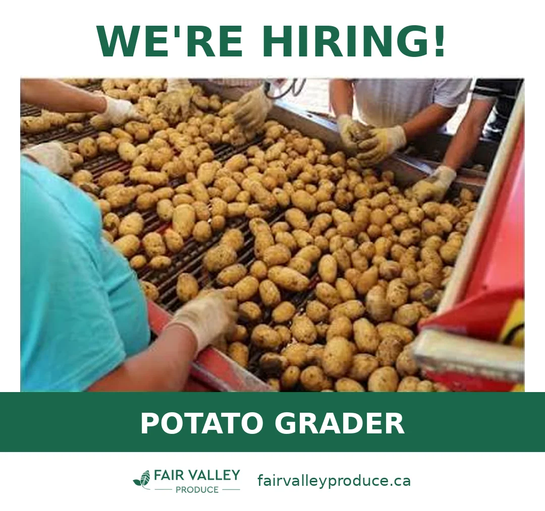 We're hiring: Potato Grader at Fair Valley Produce