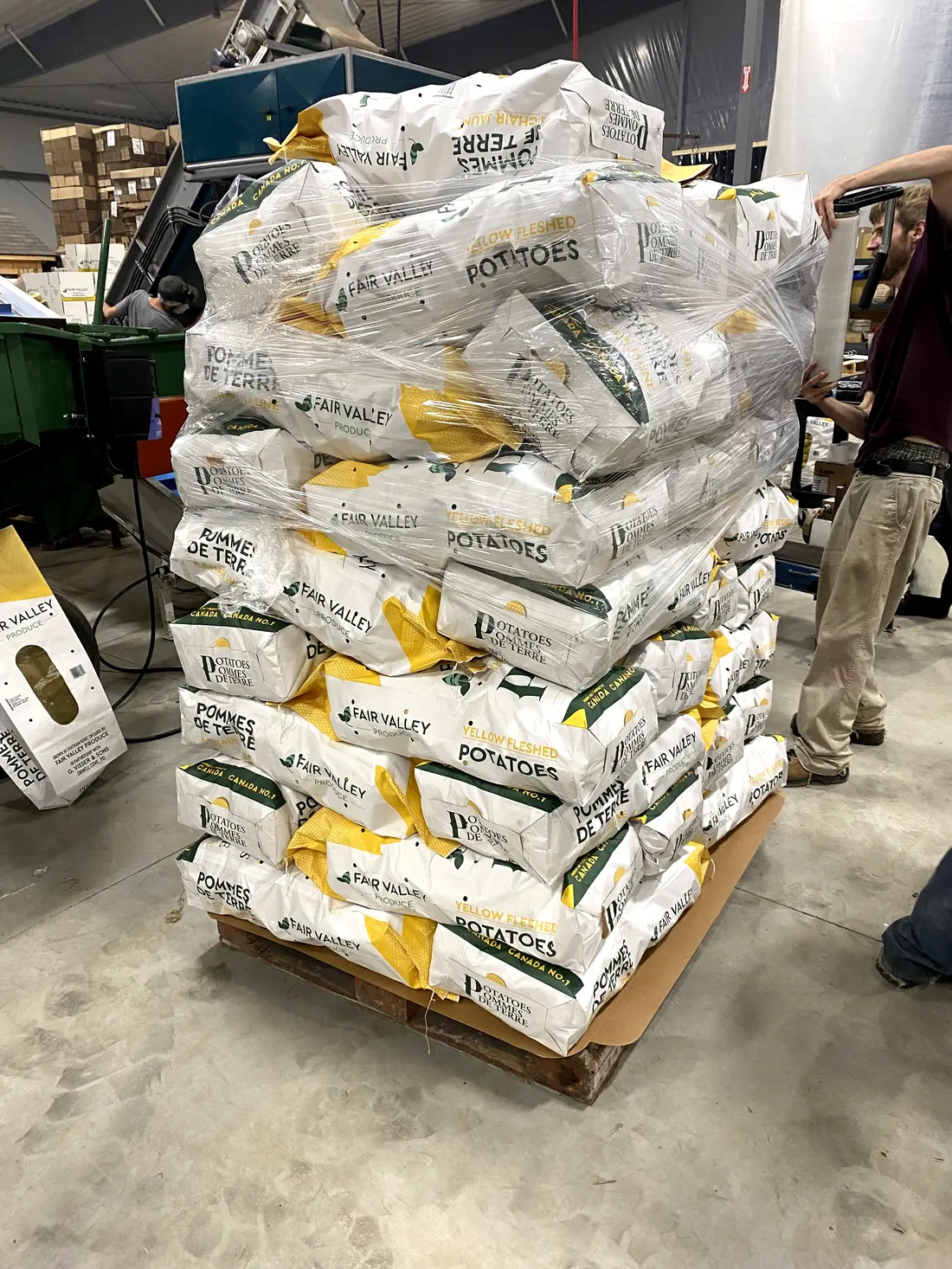Packed bags of Fair Valley potatoes stacked on a pallet in the packshed